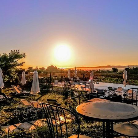 Agriturismo Rosa Antica Monte San Vito Dış mekan fotoğraf