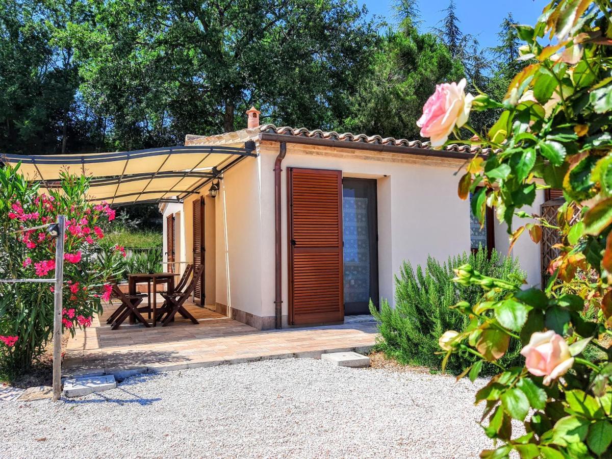 Agriturismo Rosa Antica Monte San Vito Dış mekan fotoğraf