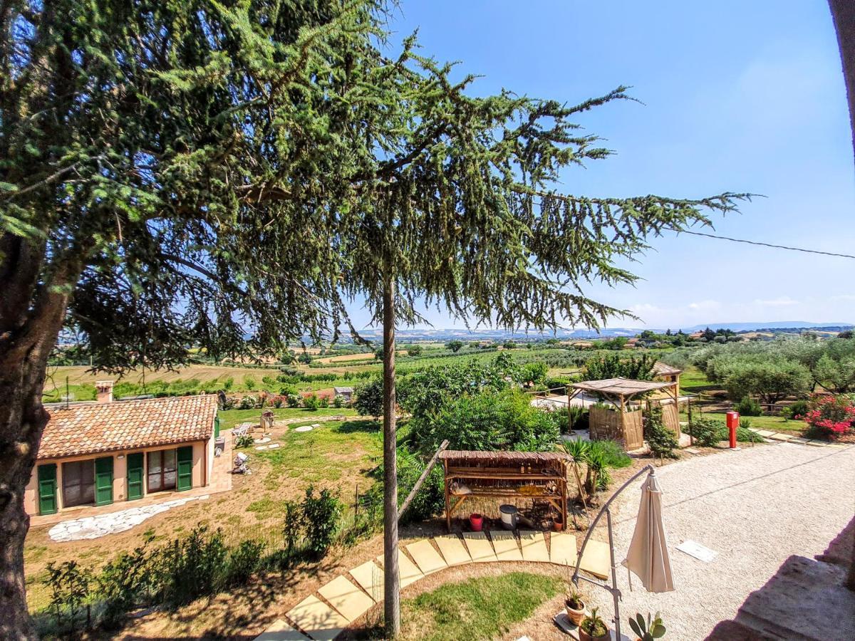 Agriturismo Rosa Antica Monte San Vito Dış mekan fotoğraf