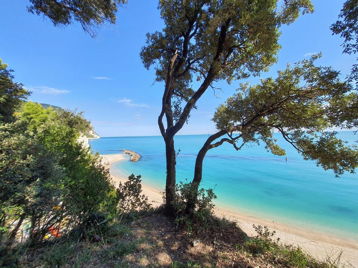 Agriturismo Rosa Antica Monte San Vito Dış mekan fotoğraf