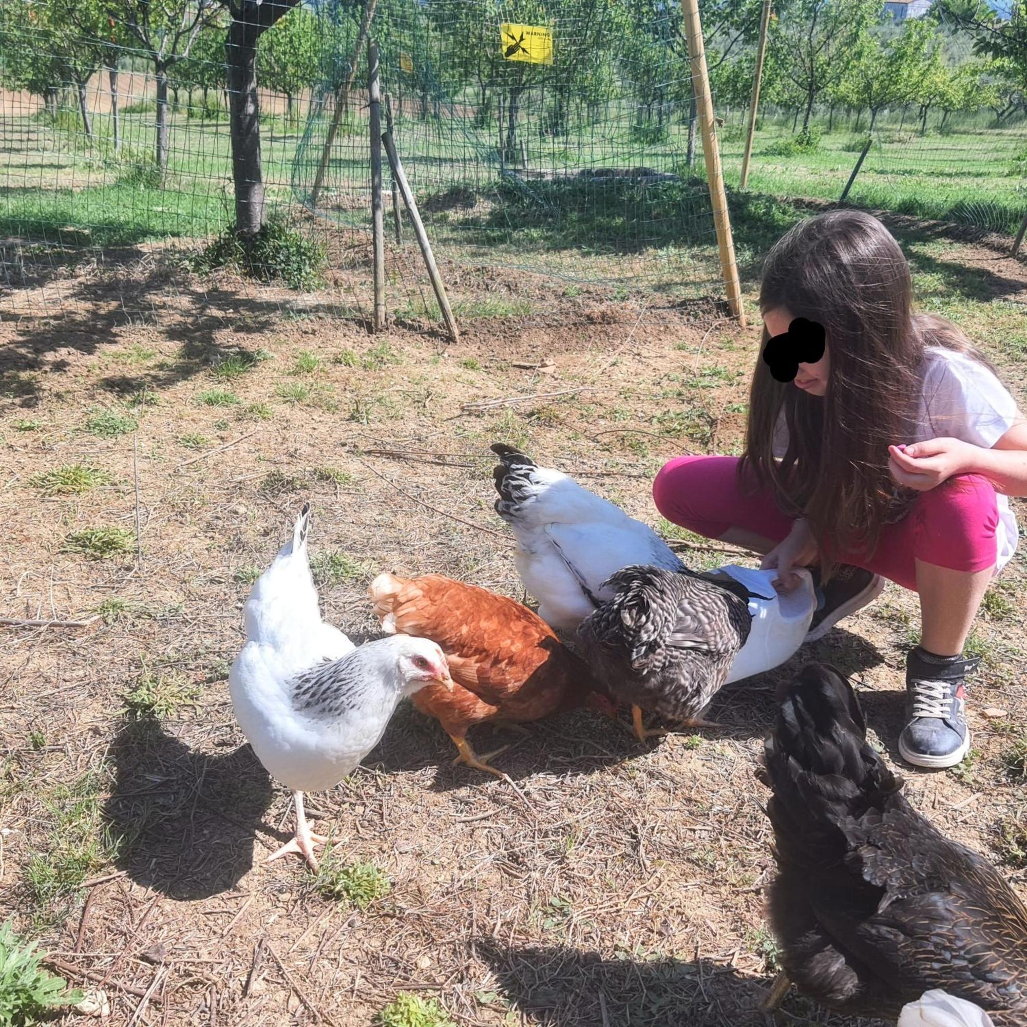 Agriturismo Rosa Antica Monte San Vito Dış mekan fotoğraf