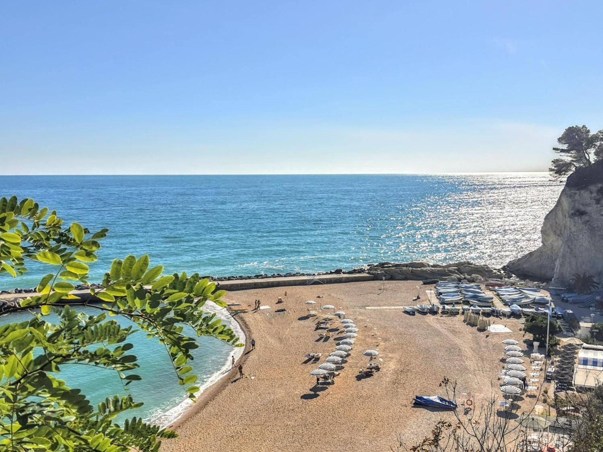 Agriturismo Rosa Antica Monte San Vito Dış mekan fotoğraf