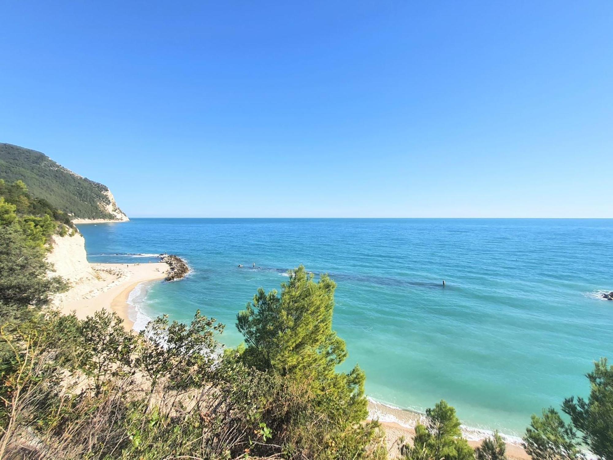 Agriturismo Rosa Antica Monte San Vito Dış mekan fotoğraf