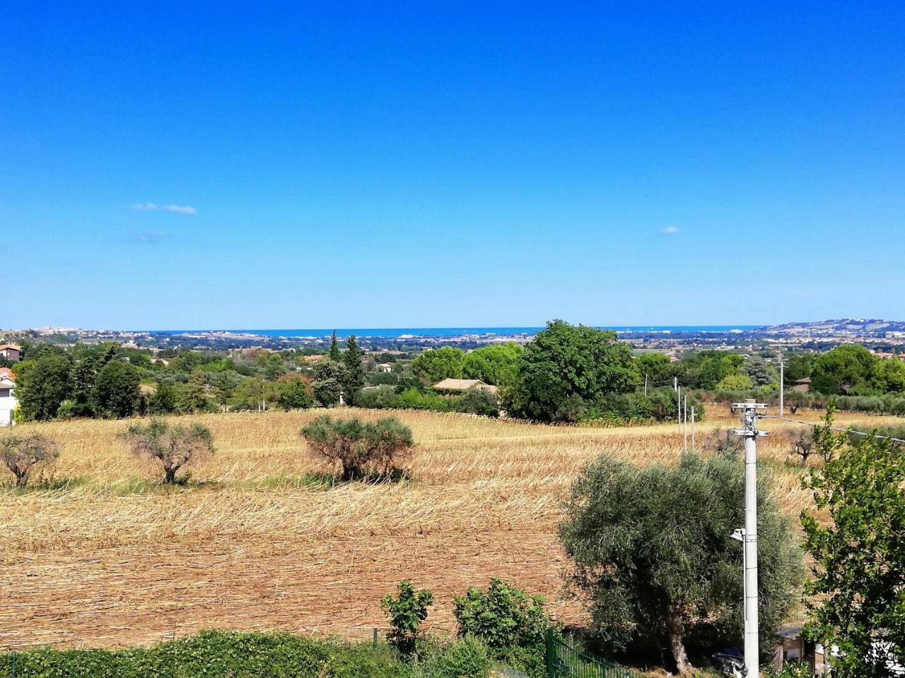 Agriturismo Rosa Antica Monte San Vito Dış mekan fotoğraf