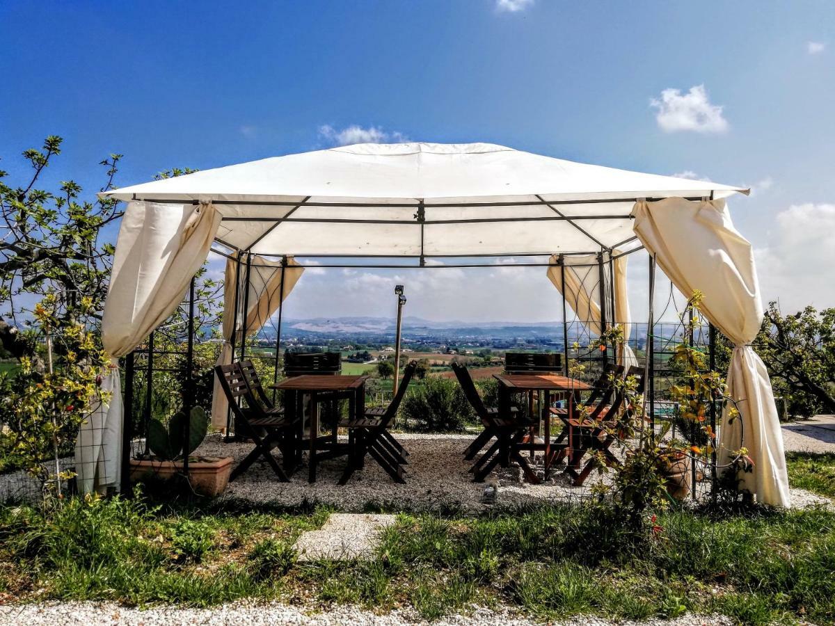 Agriturismo Rosa Antica Monte San Vito Dış mekan fotoğraf