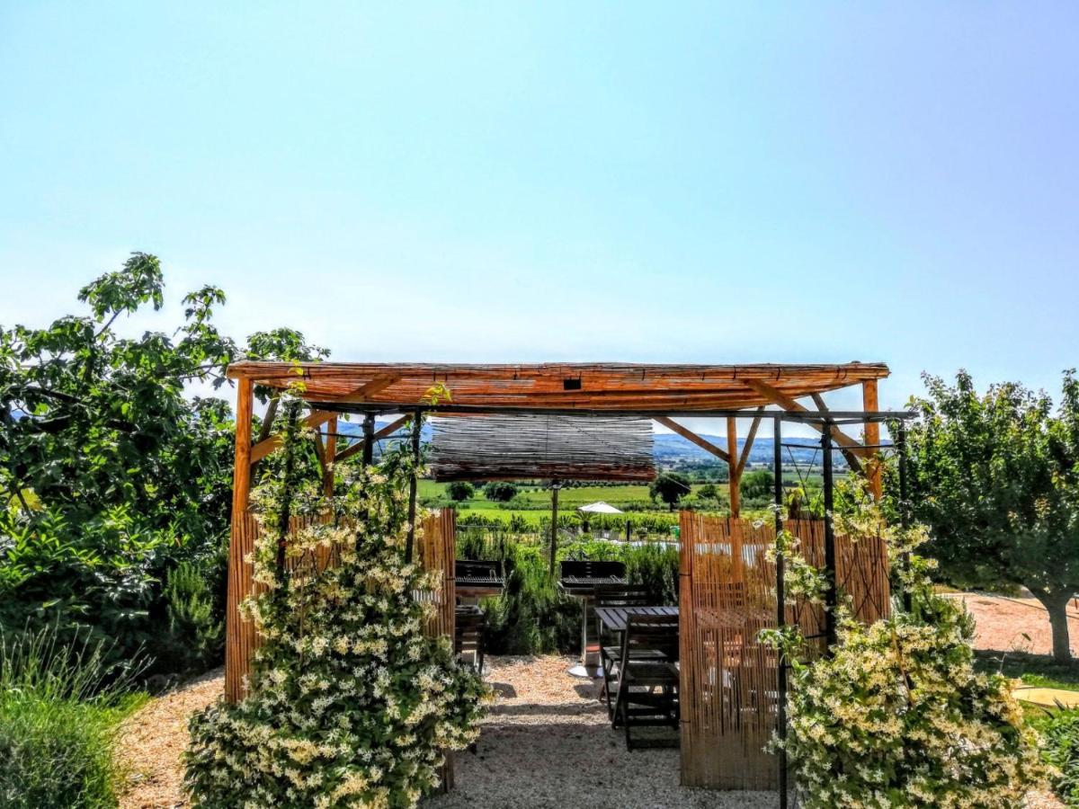 Agriturismo Rosa Antica Monte San Vito Dış mekan fotoğraf
