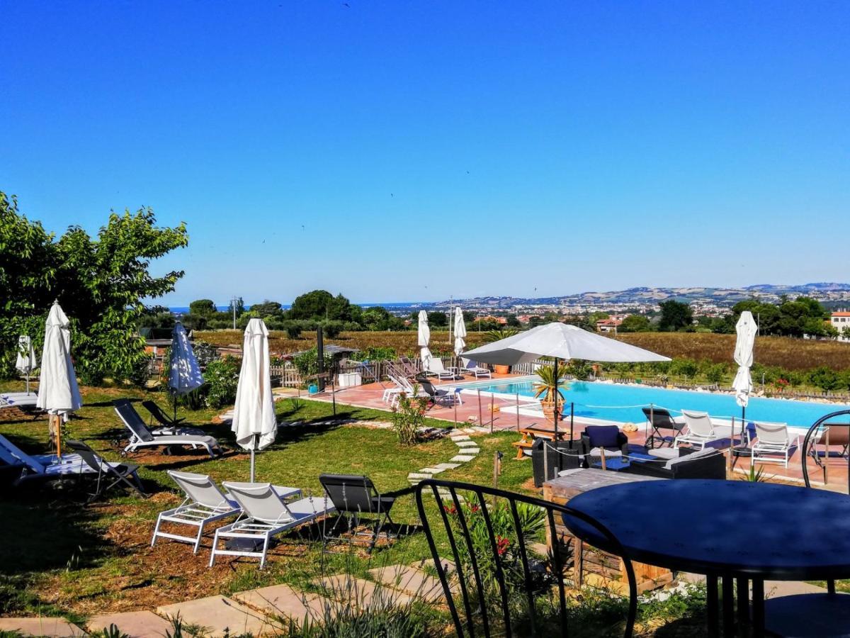 Agriturismo Rosa Antica Monte San Vito Dış mekan fotoğraf